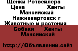 Щенки Ротвейлера . › Цена ­ 7 500 - Ханты-Мансийский, Нижневартовск г. Животные и растения » Собаки   . Ханты-Мансийский